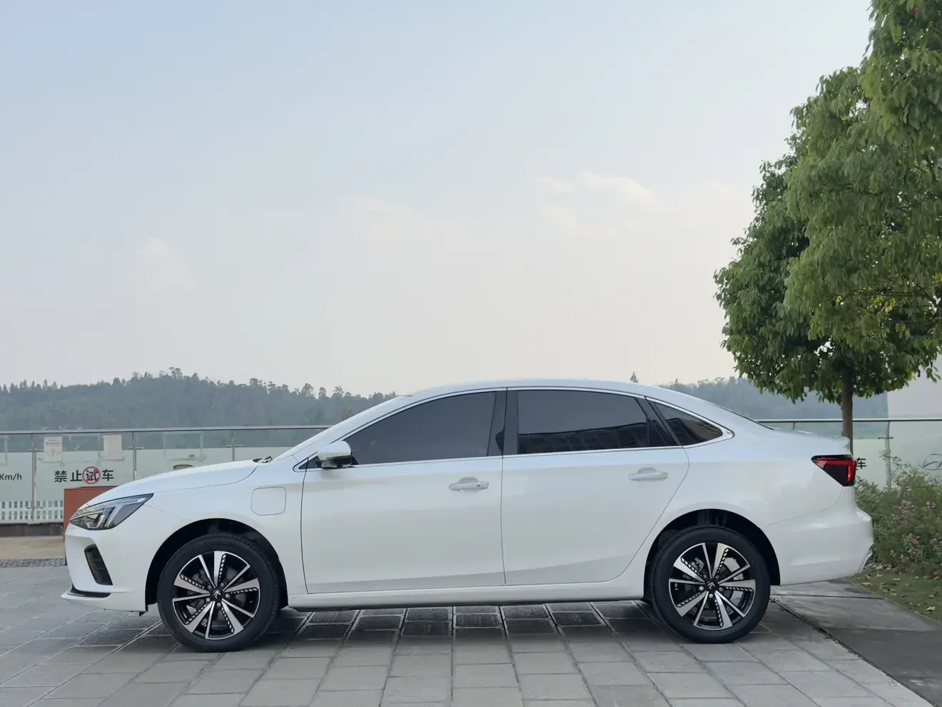 Rising Auto Feifan ER6