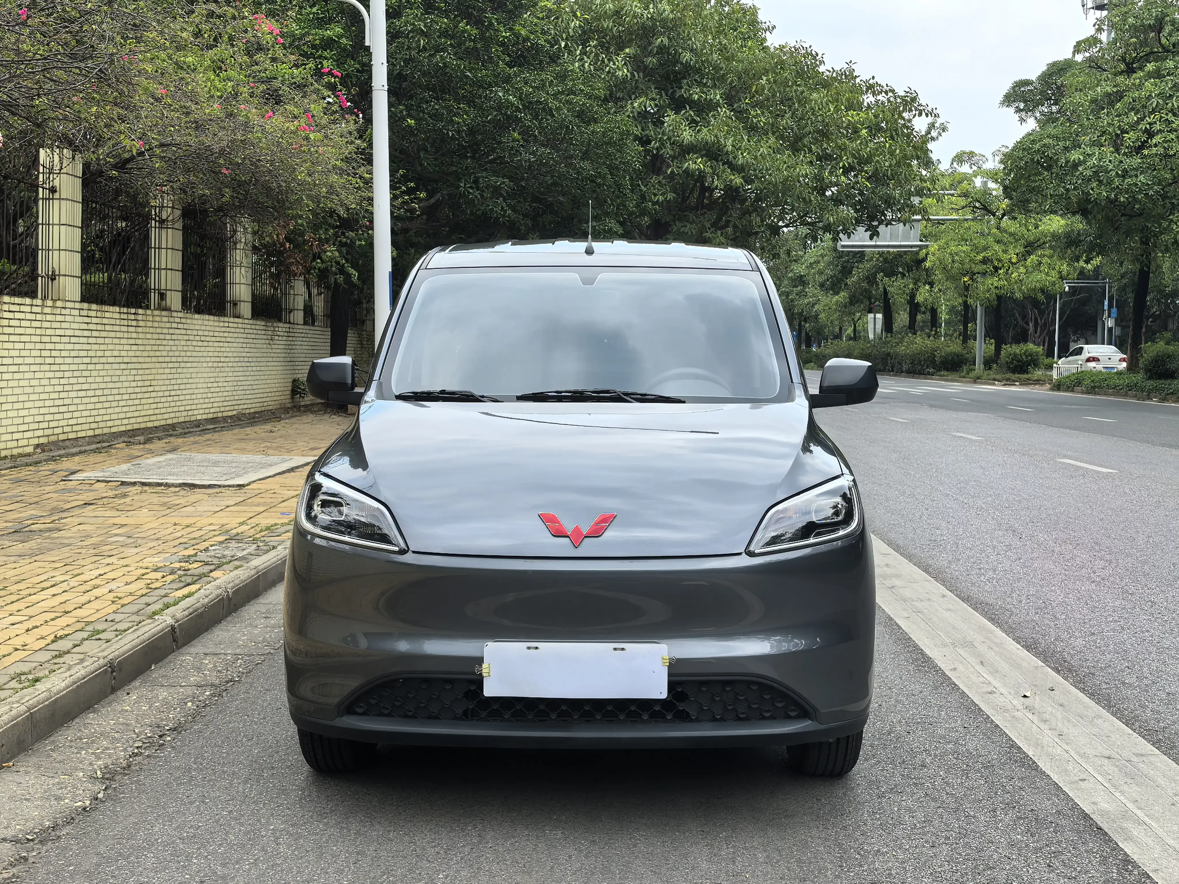 Wuling Hongguang pure electric version