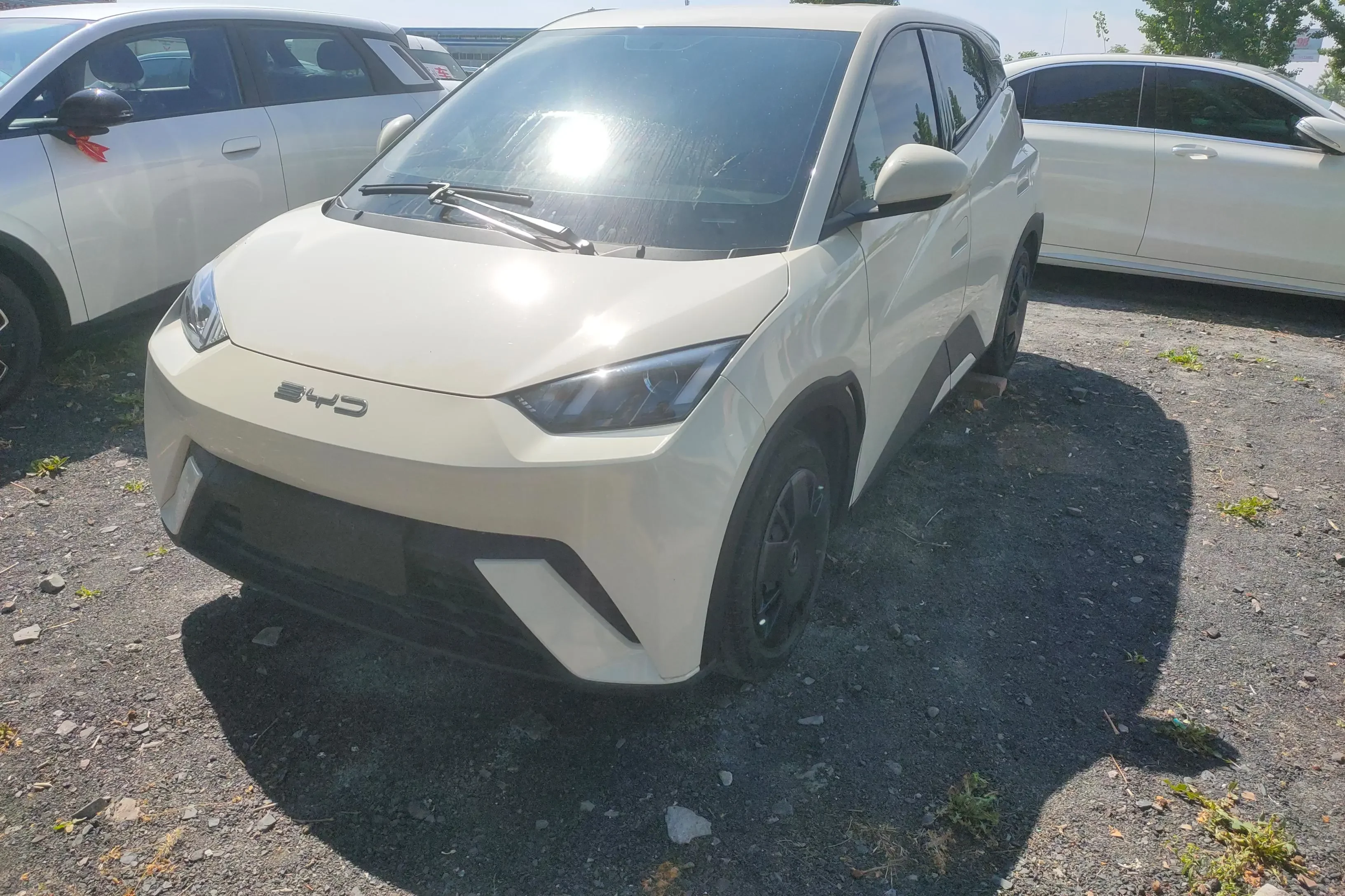 BYD seagull