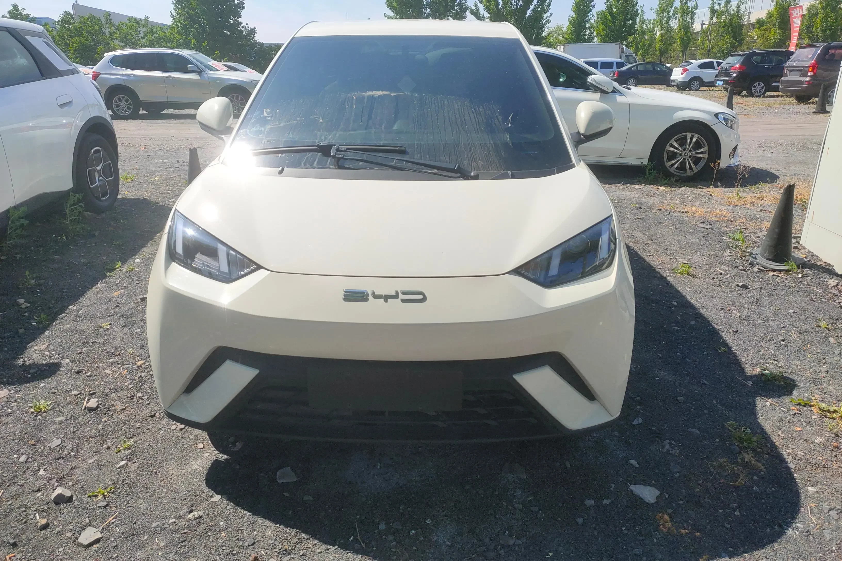 BYD seagull