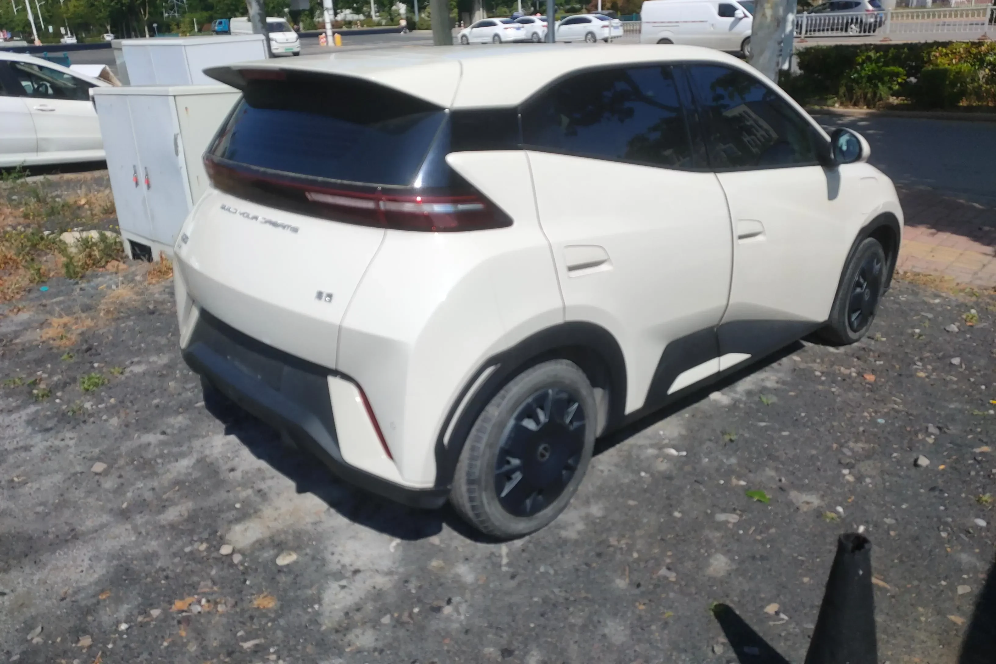 BYD seagull