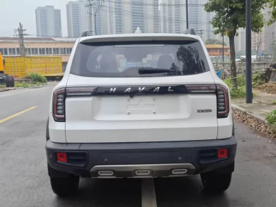 Haval Big Dog DaGou