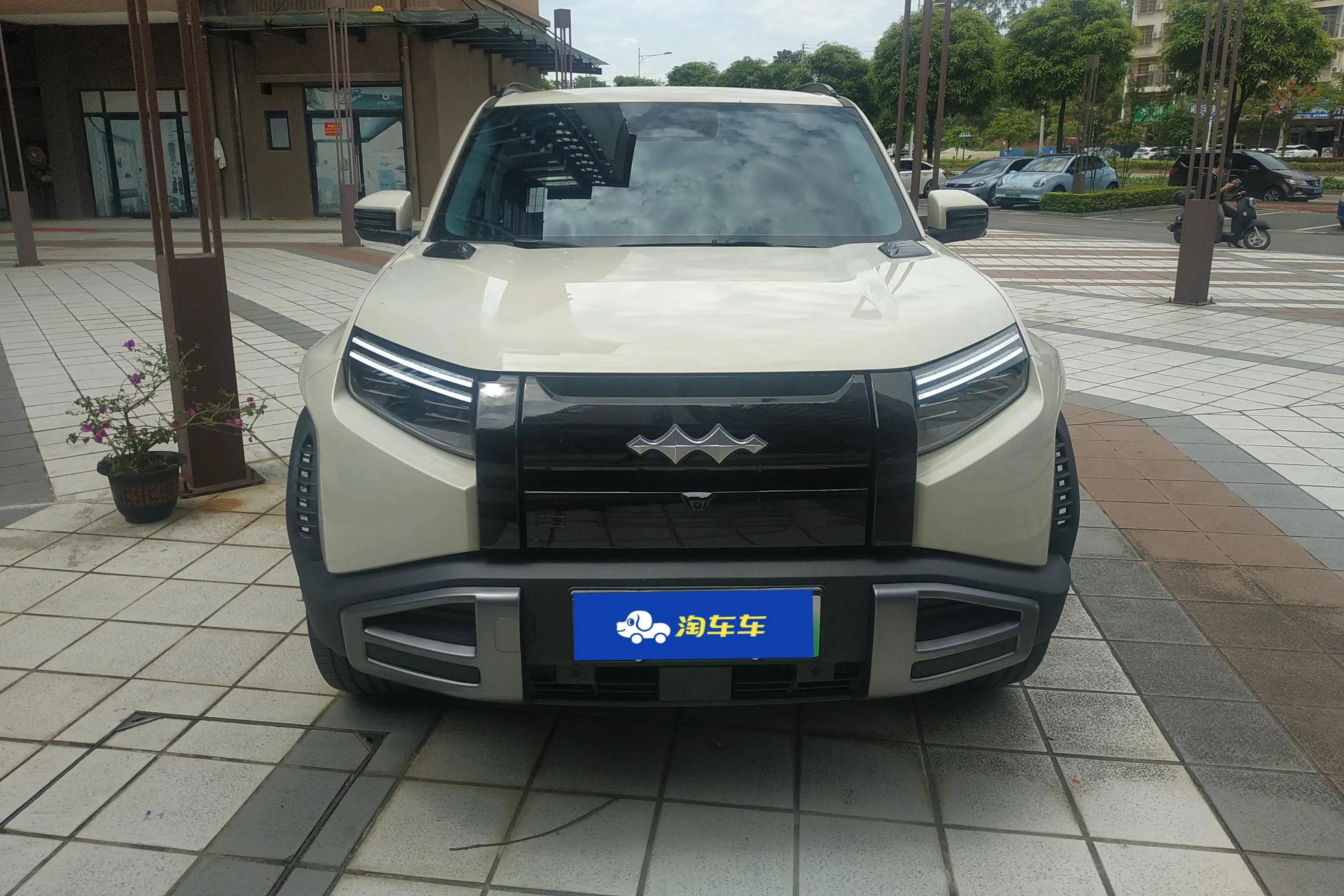 BYD Leopard Titanium 3