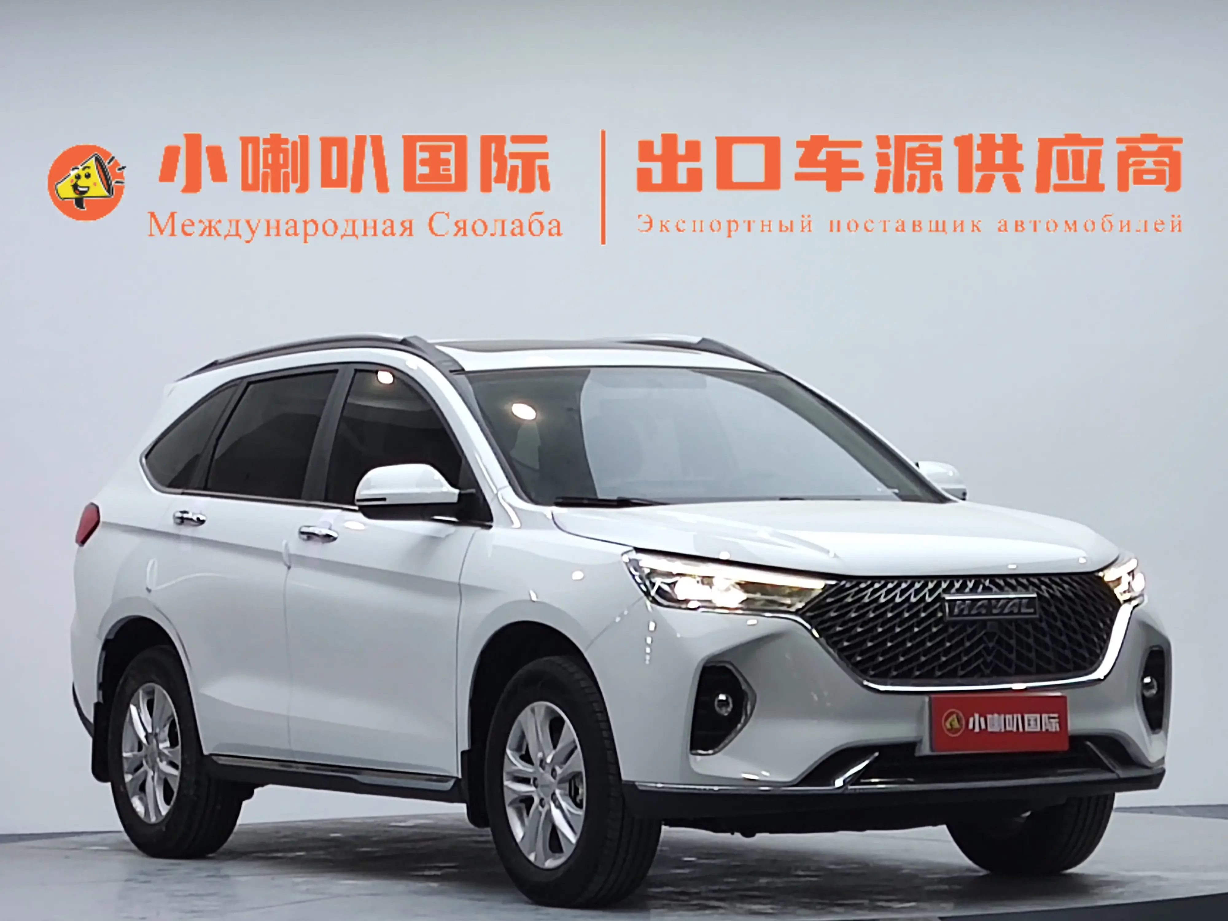 Haval M6