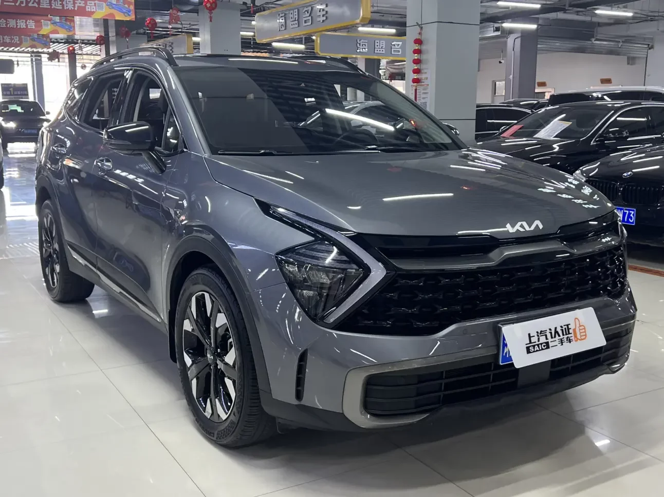Kia Lion Platinum Expands the Boundary