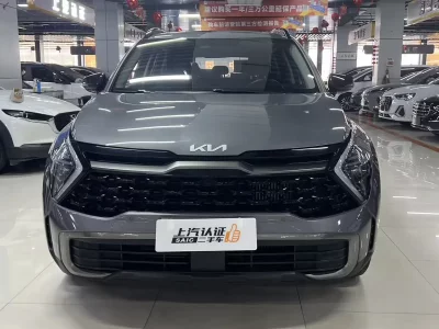 Kia Lion Platinum Expands the Boundary