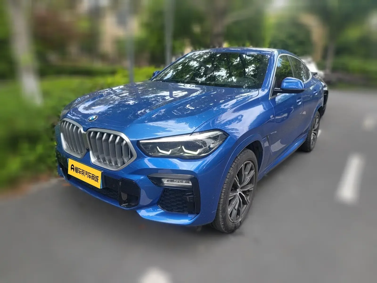 BMW X6