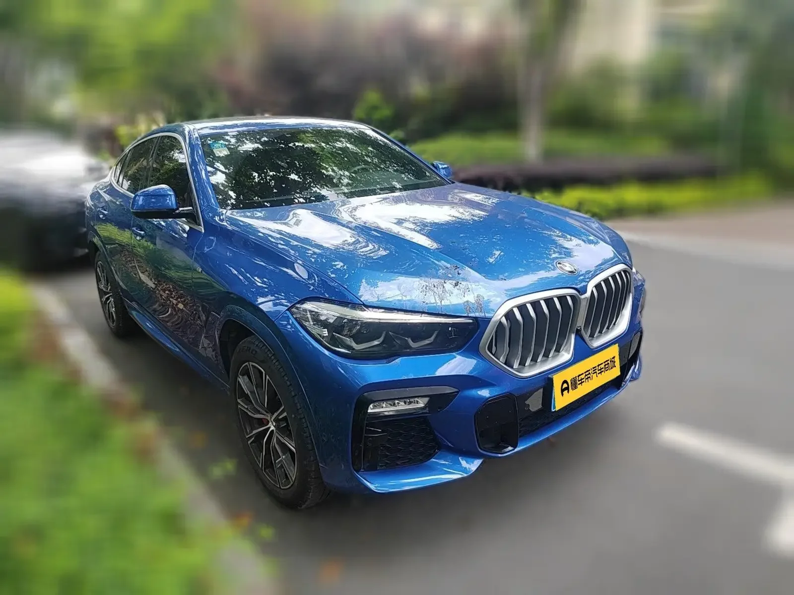 BMW X6