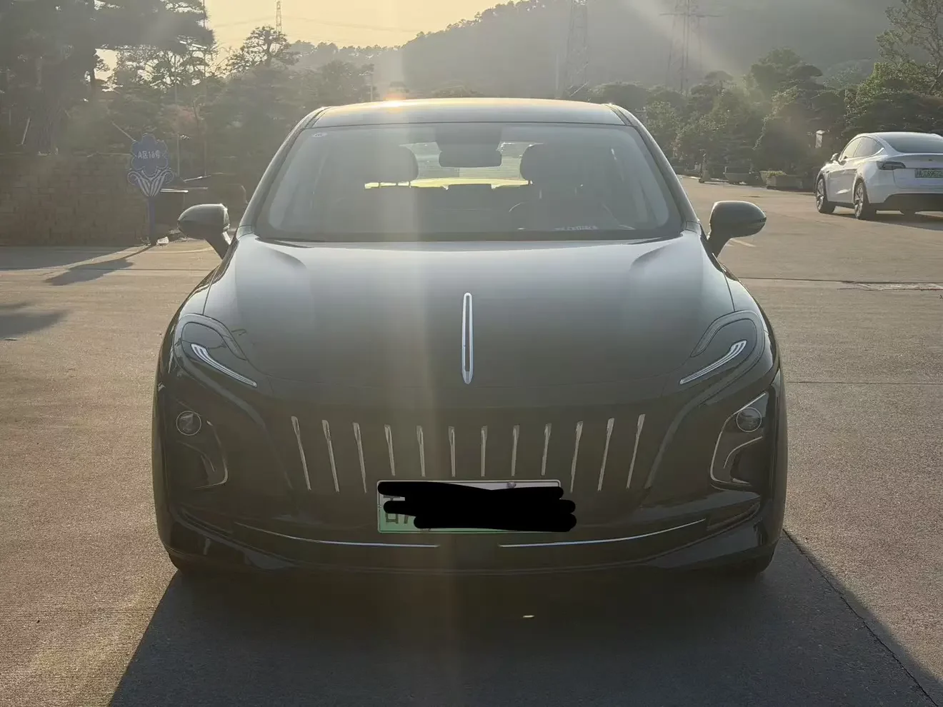 Hongqi E-QM5
