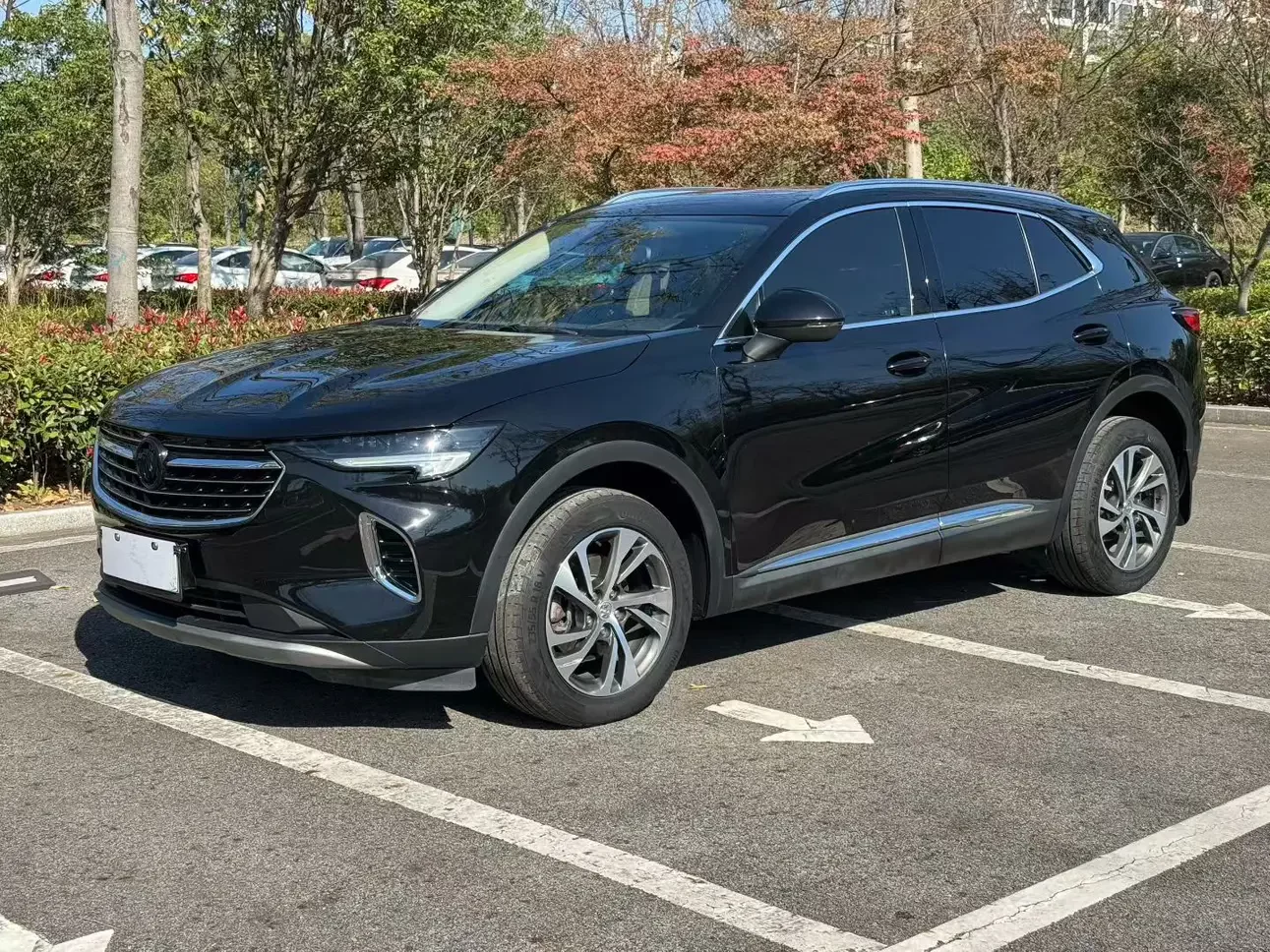 Buick Envision S