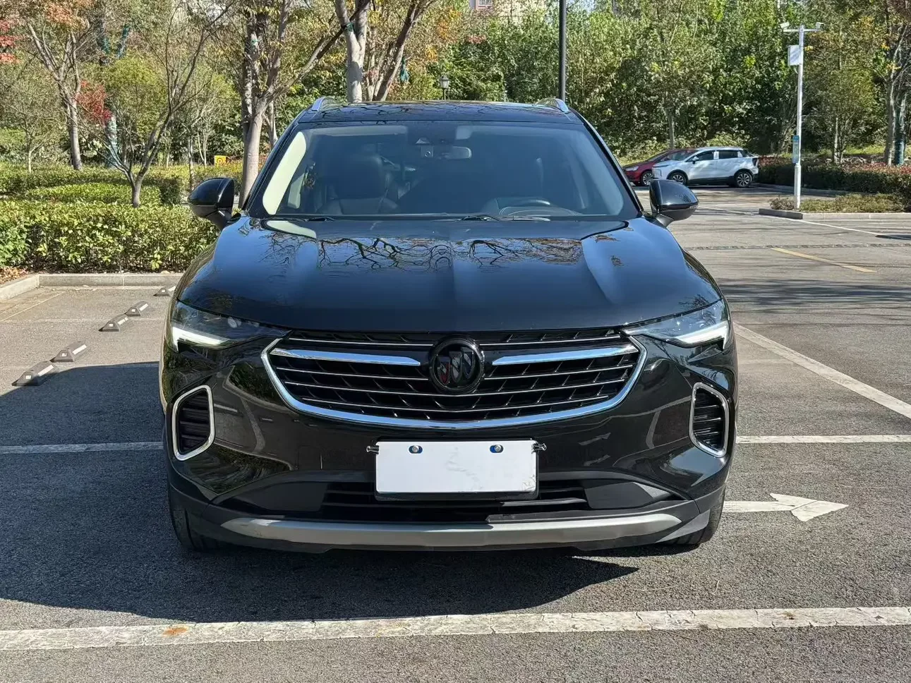 Buick Envision S