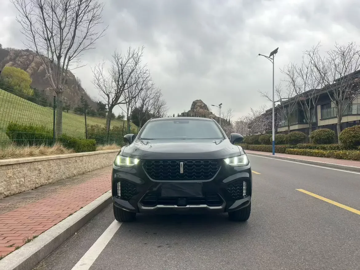 Wey Wei brand VV5