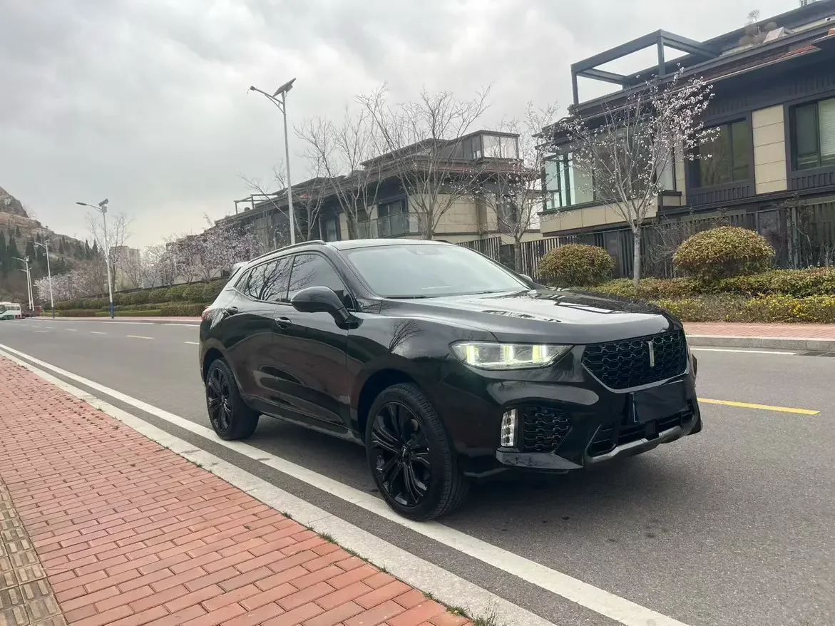 Wey Wei brand VV5