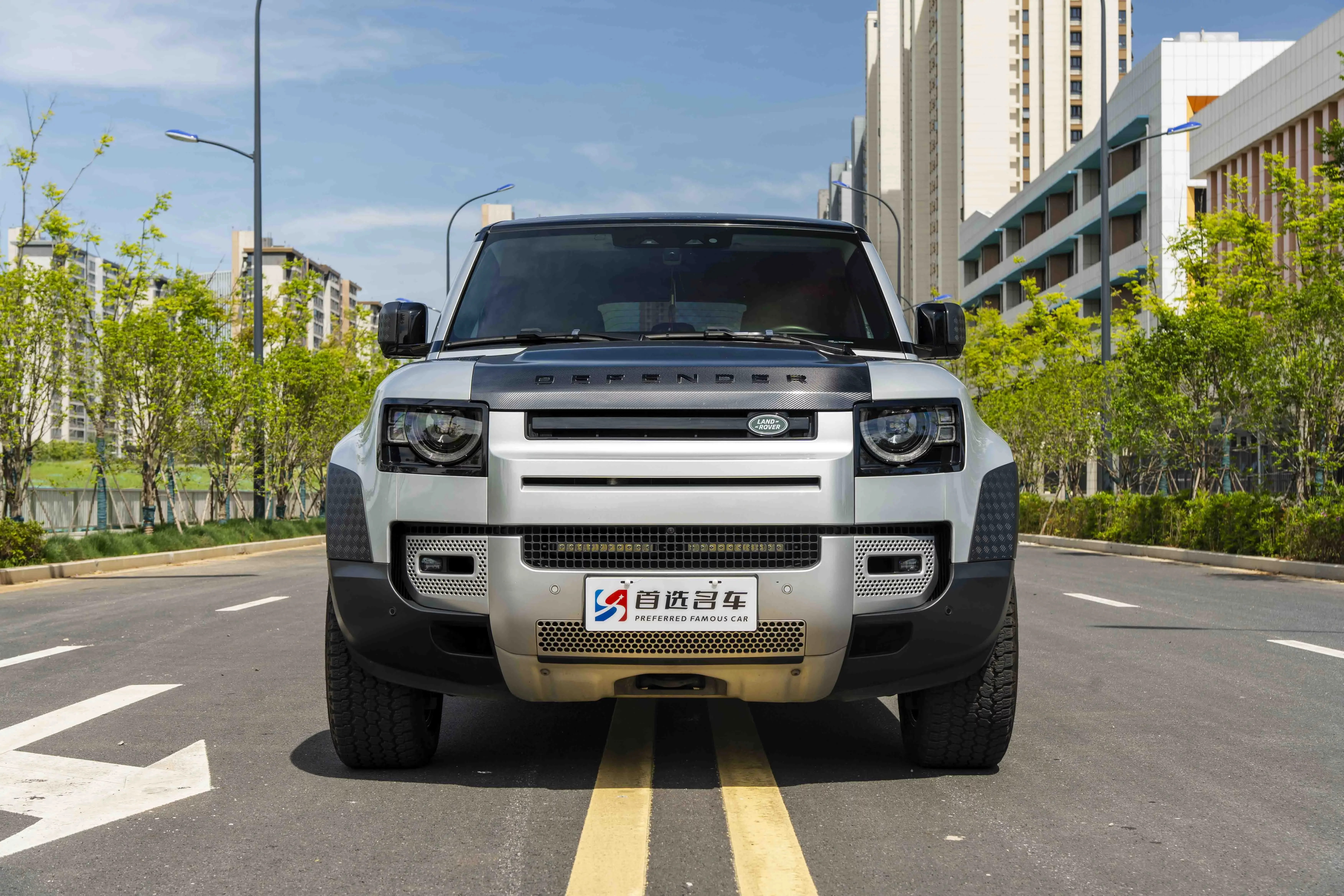 Land Rover guard