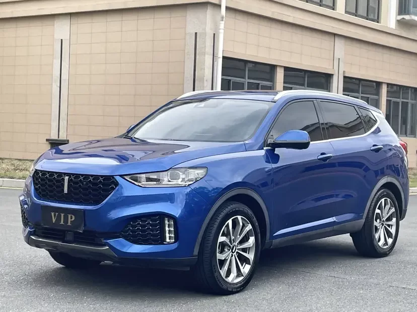 Wey Wei brand VV6
