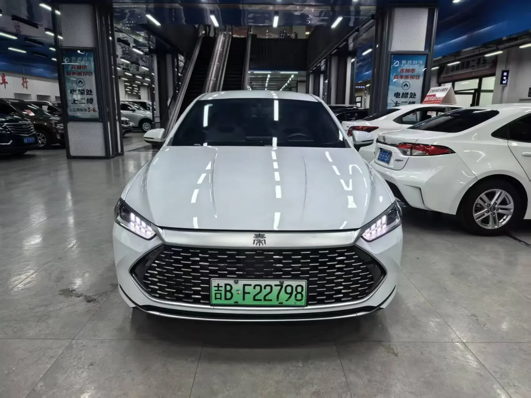 BYD Qin PLUS DM