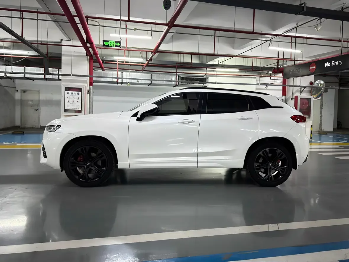 Wey Wei brand VV7