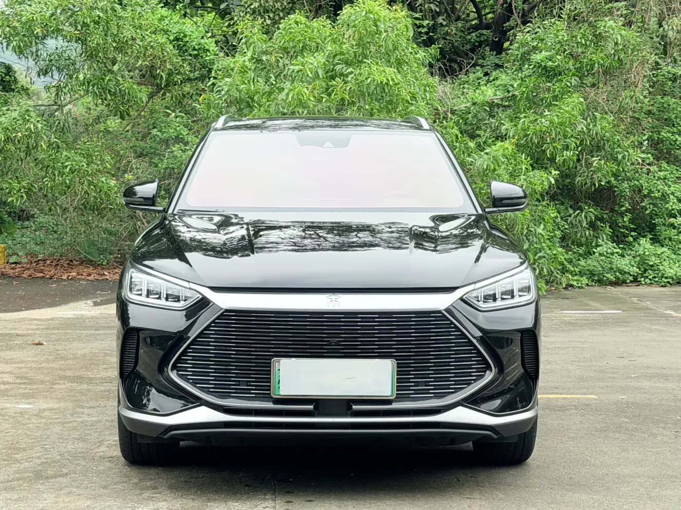 BYD Song PLUS DM
