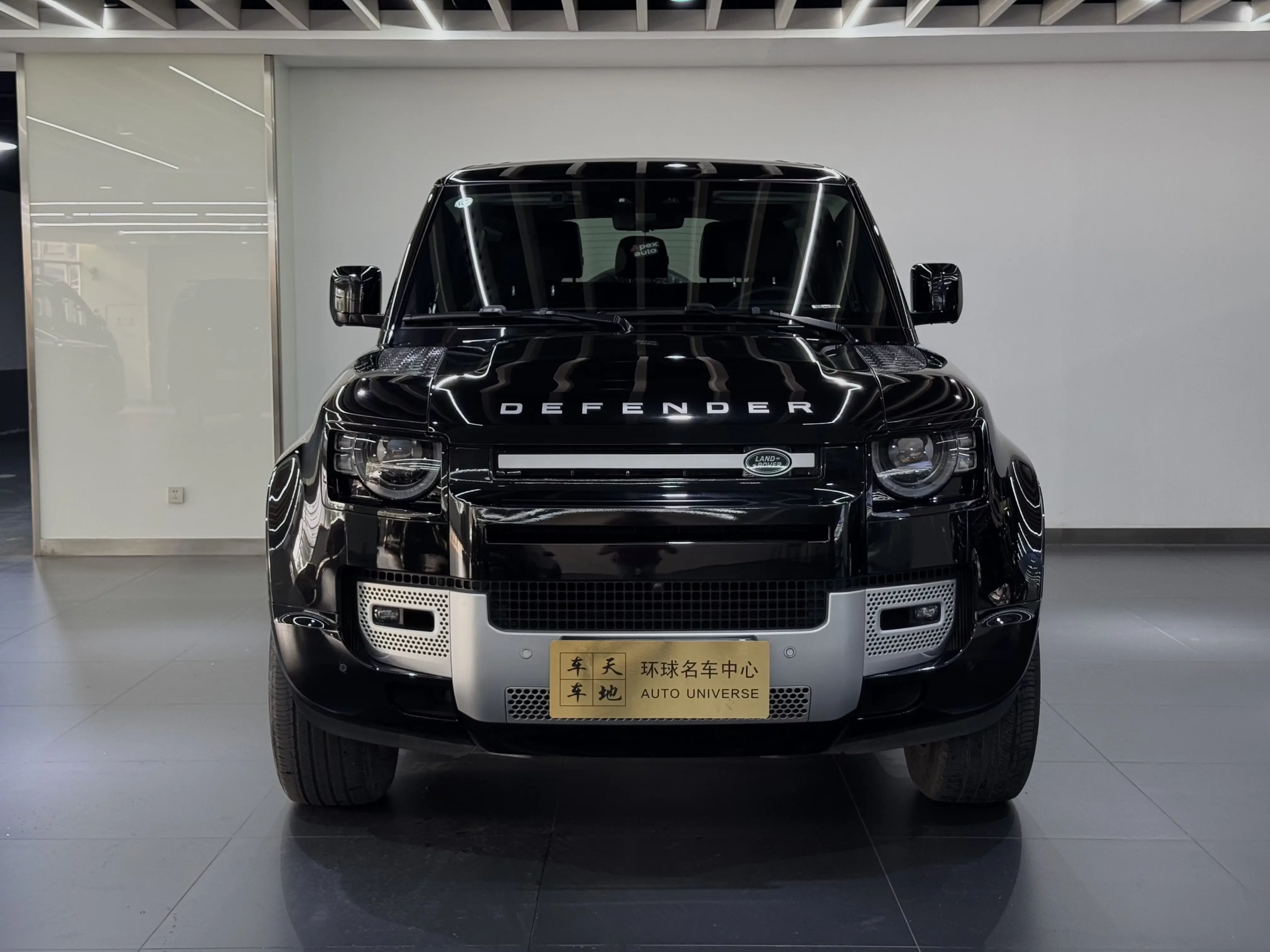 Land Rover guard