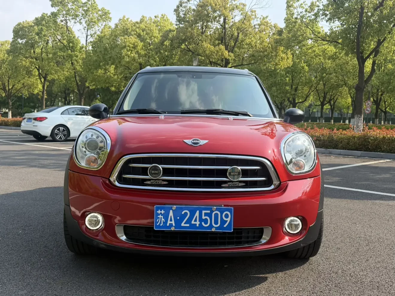 MINI PACEMAN