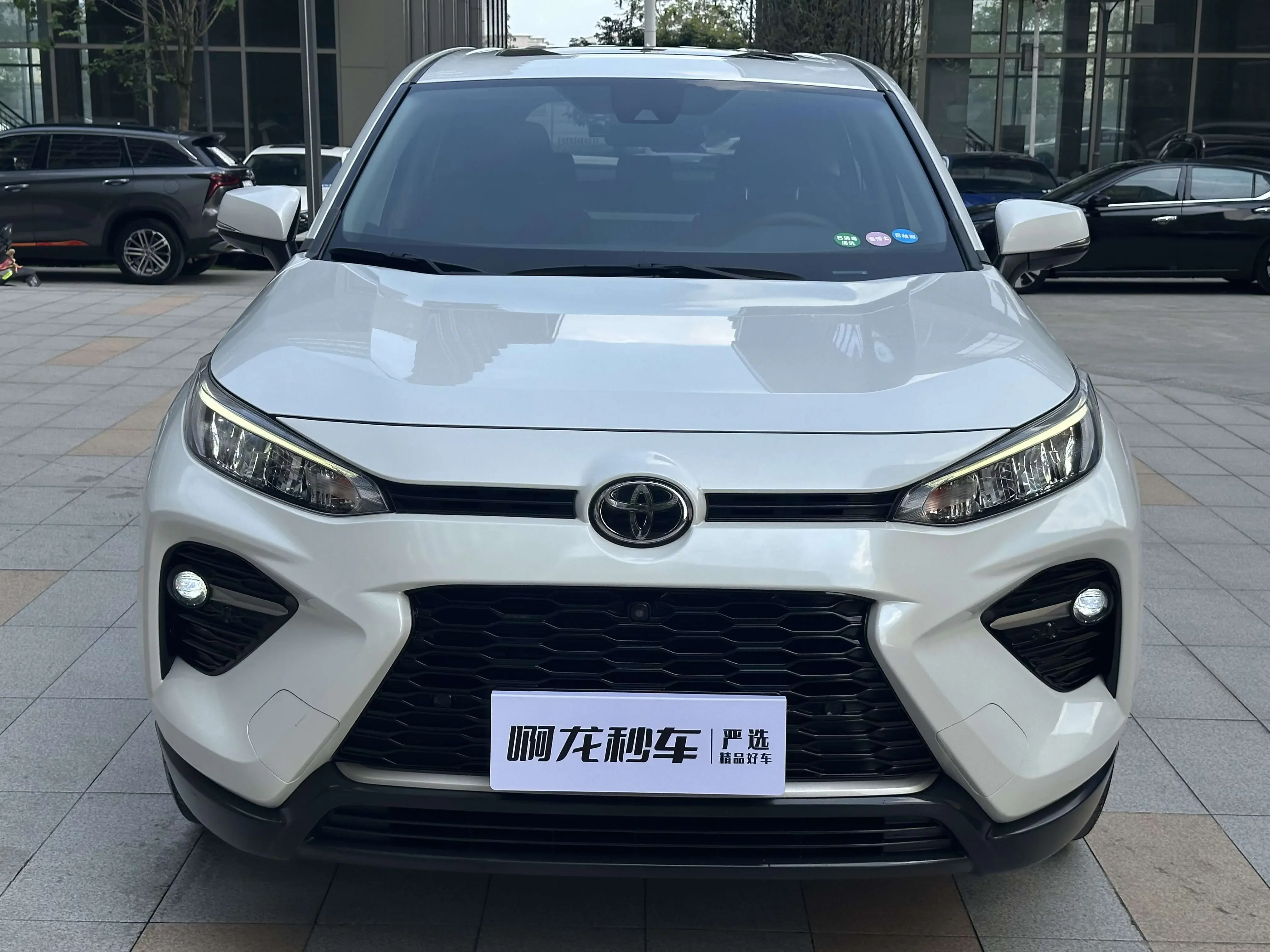 Toyota Willanda