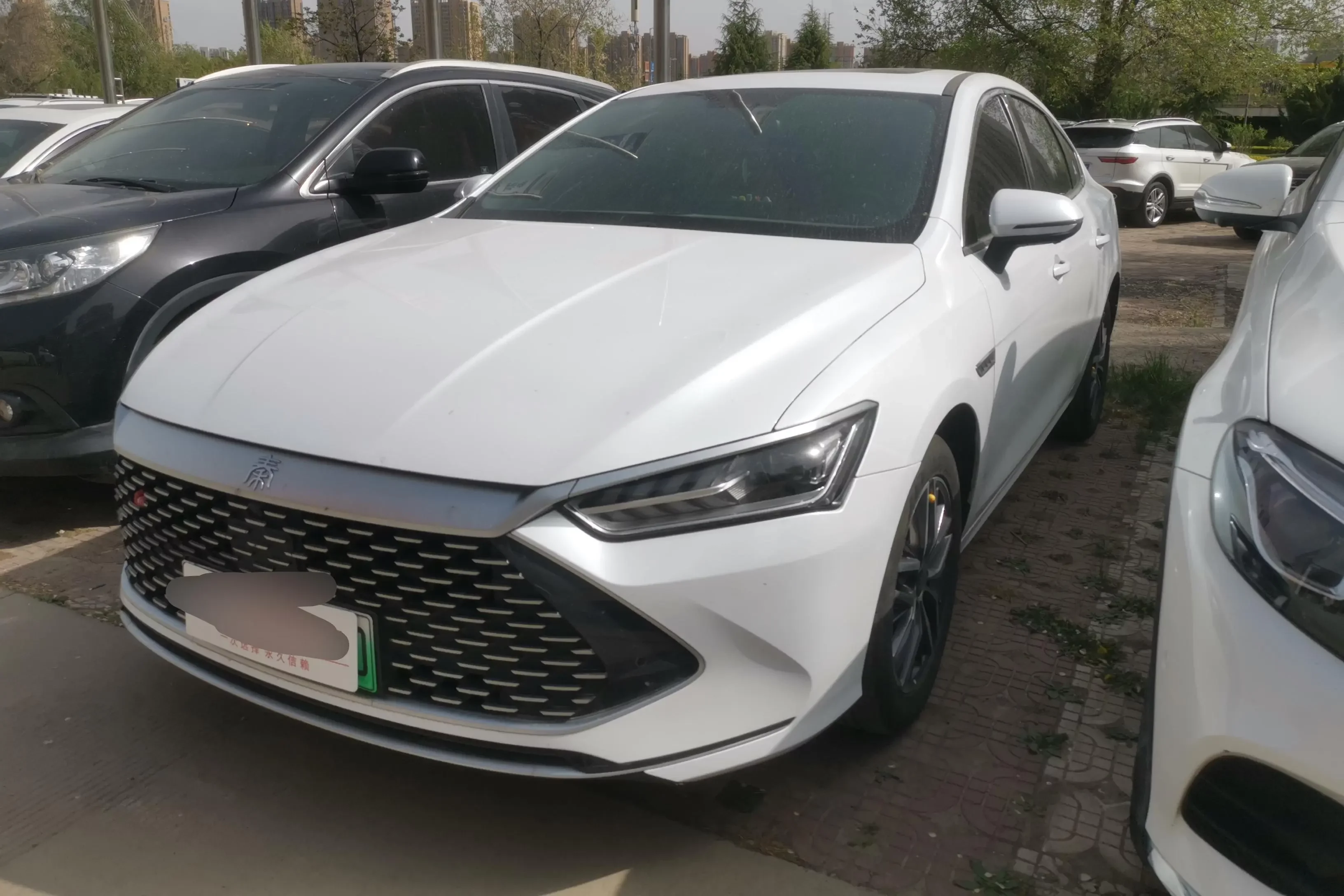 BYD Qin PLUS DM
