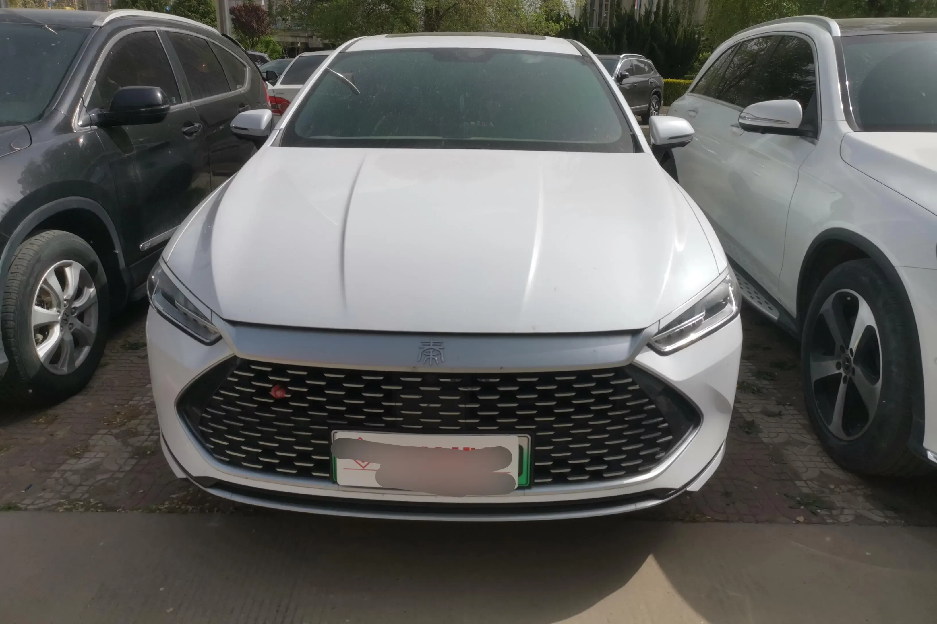 BYD Qin PLUS DM