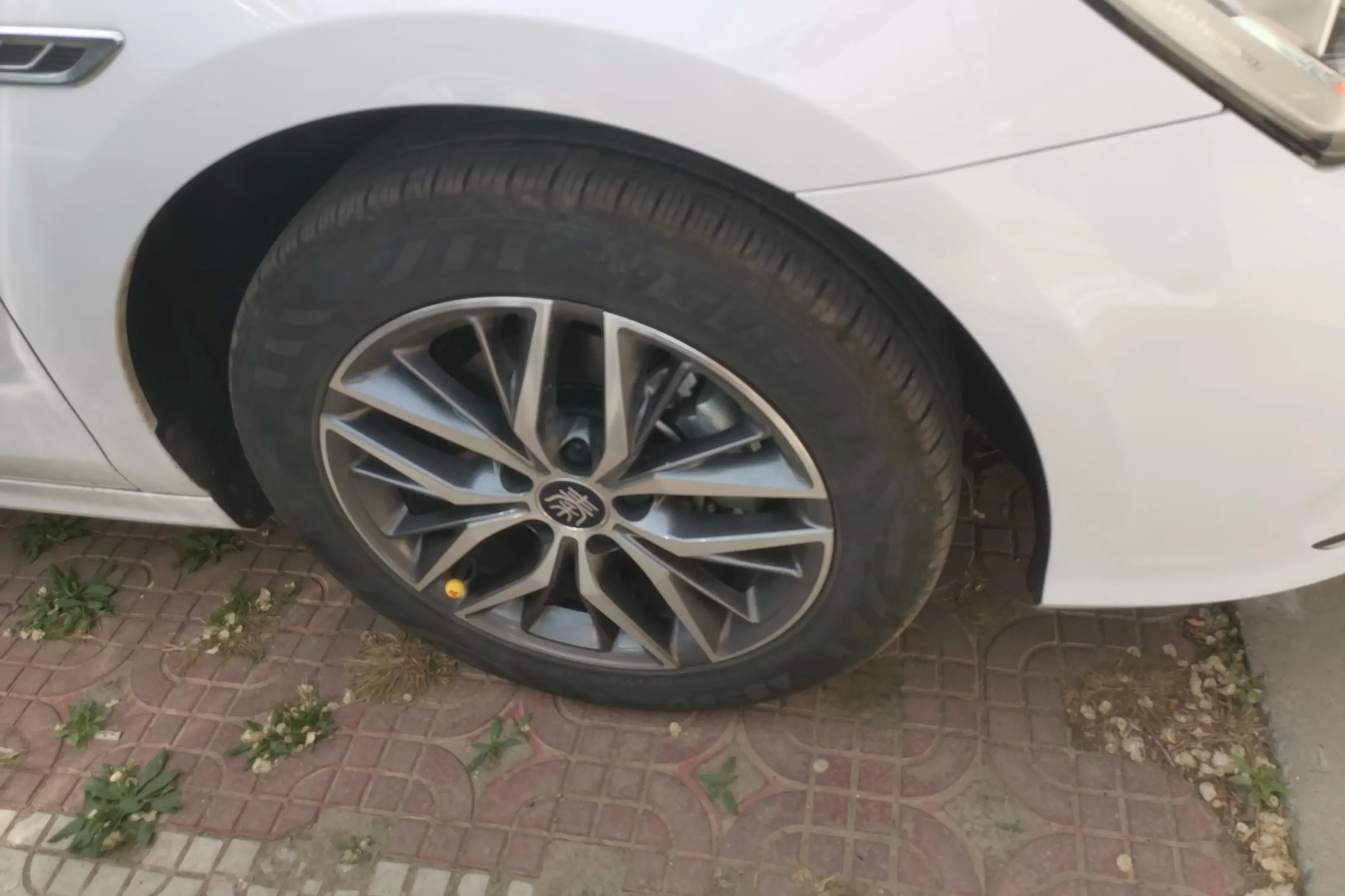 BYD Qin PLUS DM