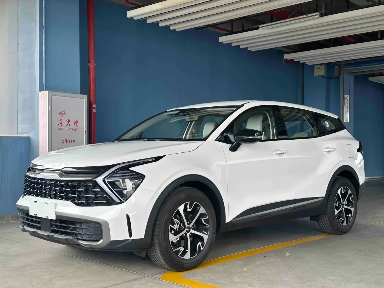 Kia Lion Platinum Expands the Boundary