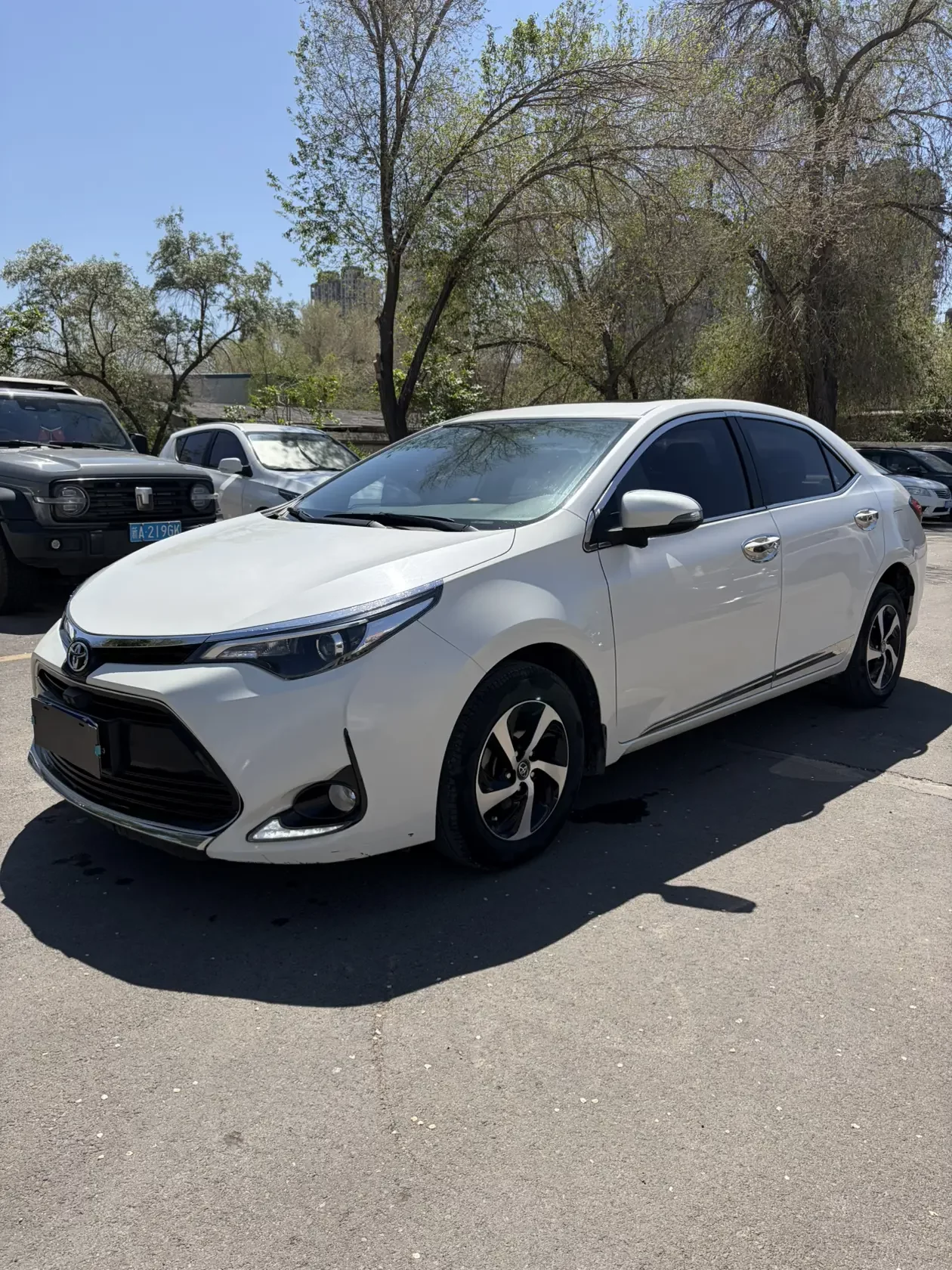 Toyota Levin