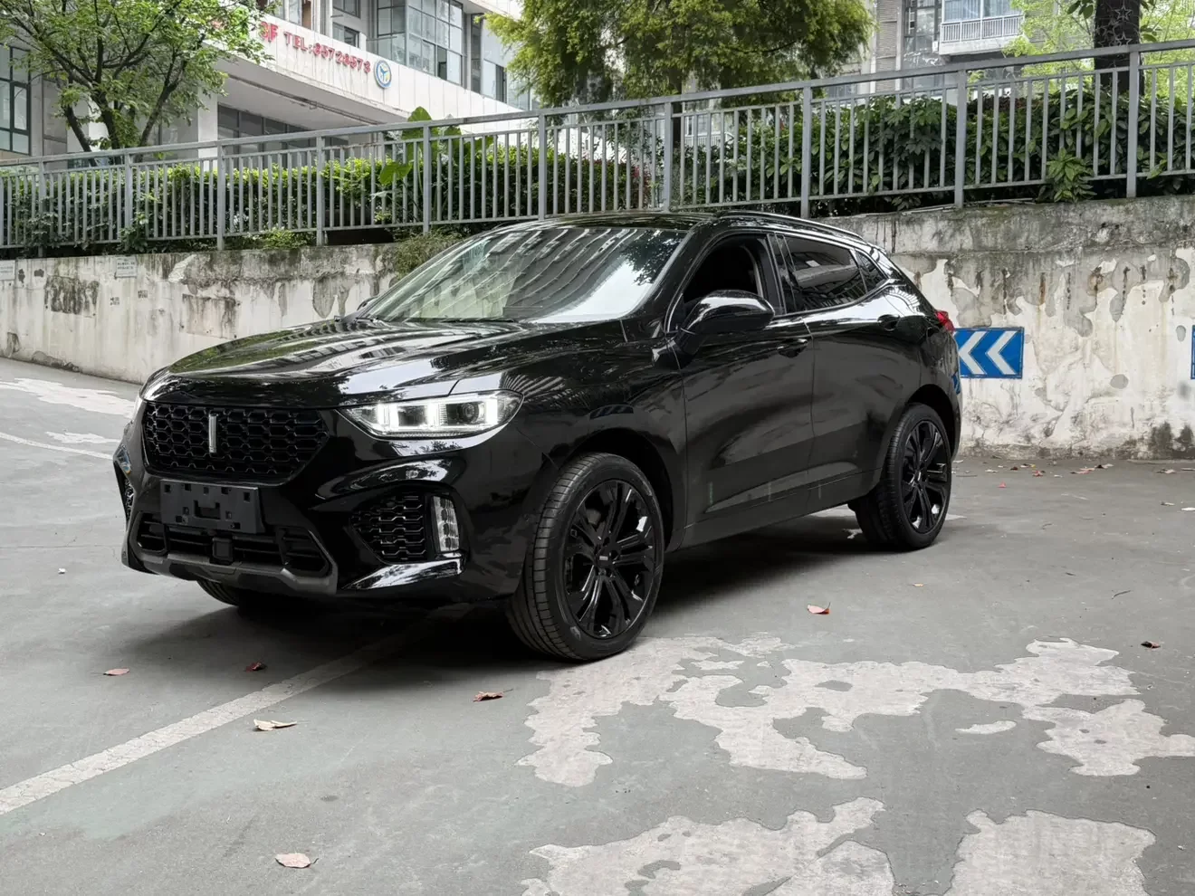 Wey Wei brand VV5