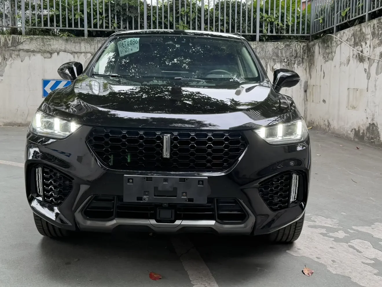 Wey Wei brand VV5