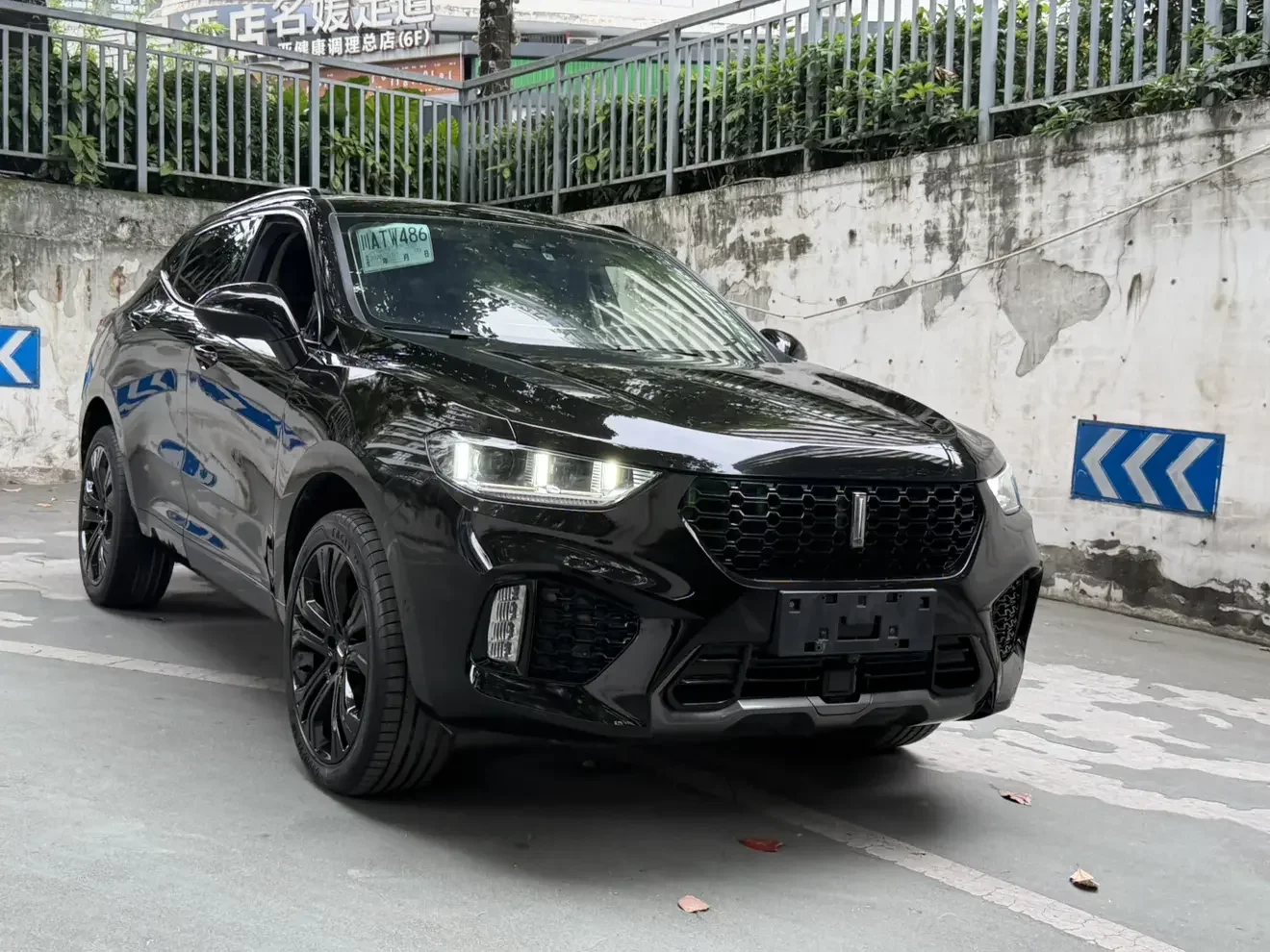 Wey Wei brand VV5