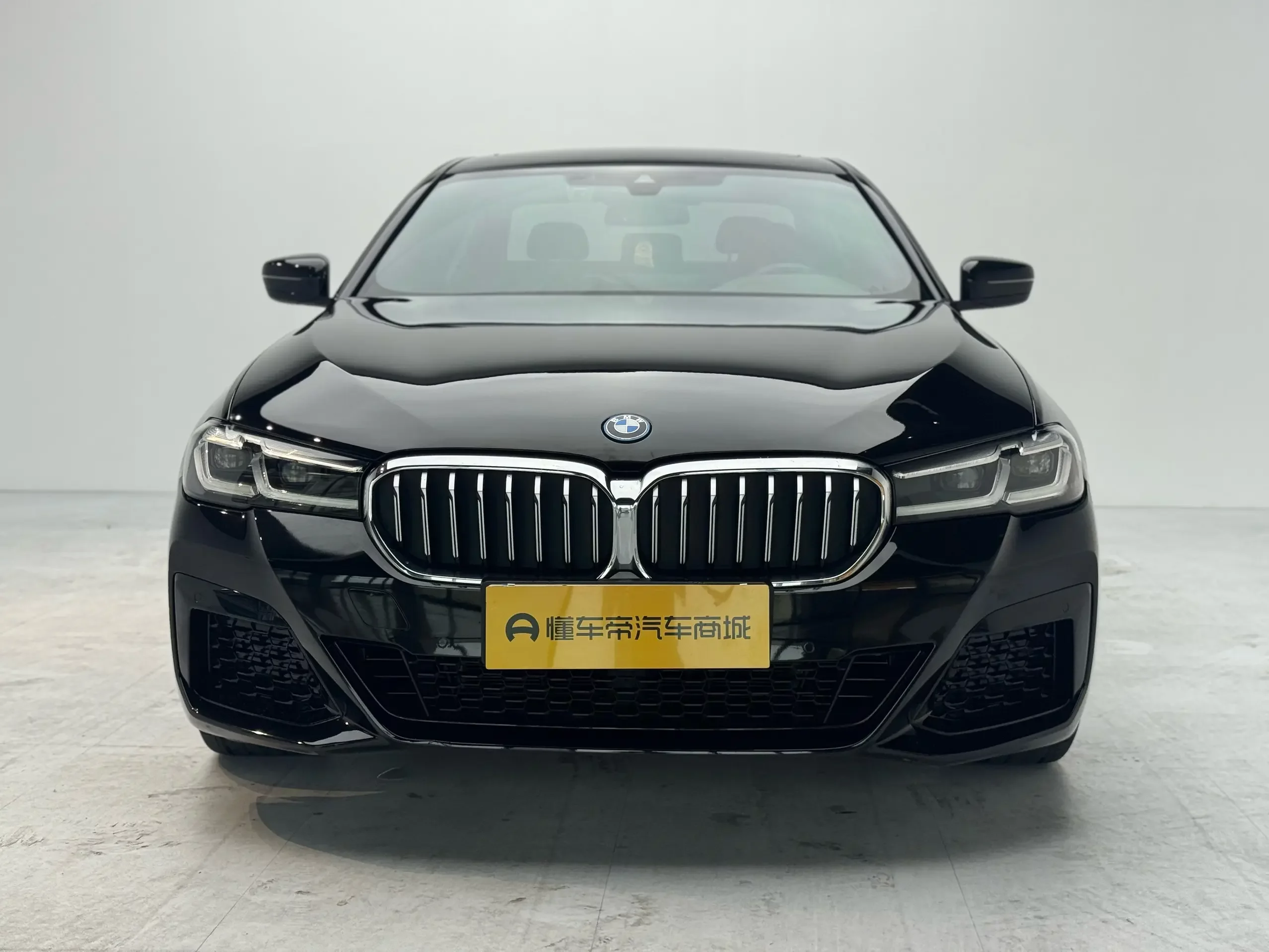 BMW 5 Series PHEV