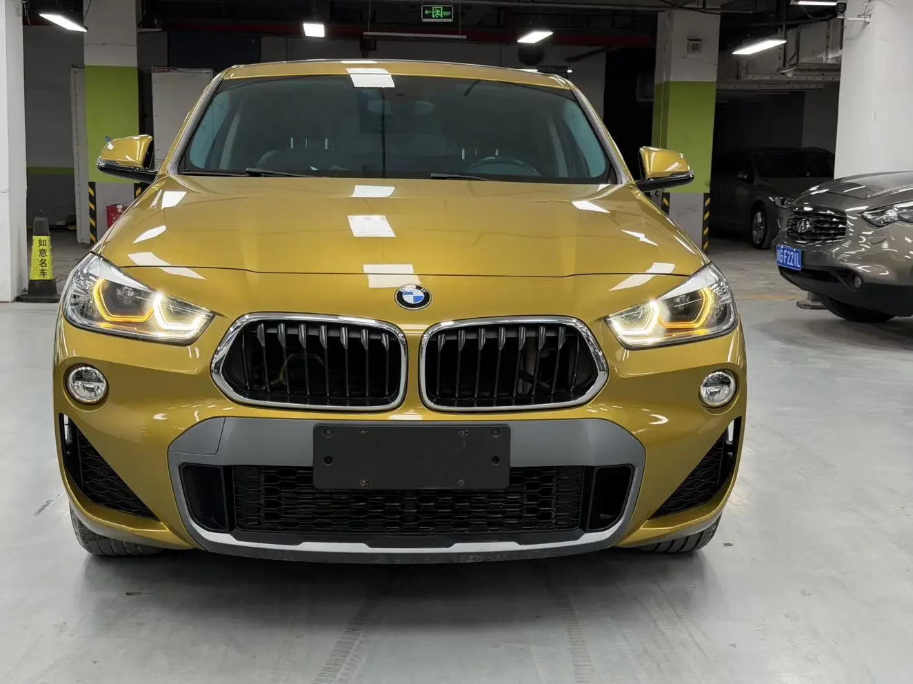 BMW X2