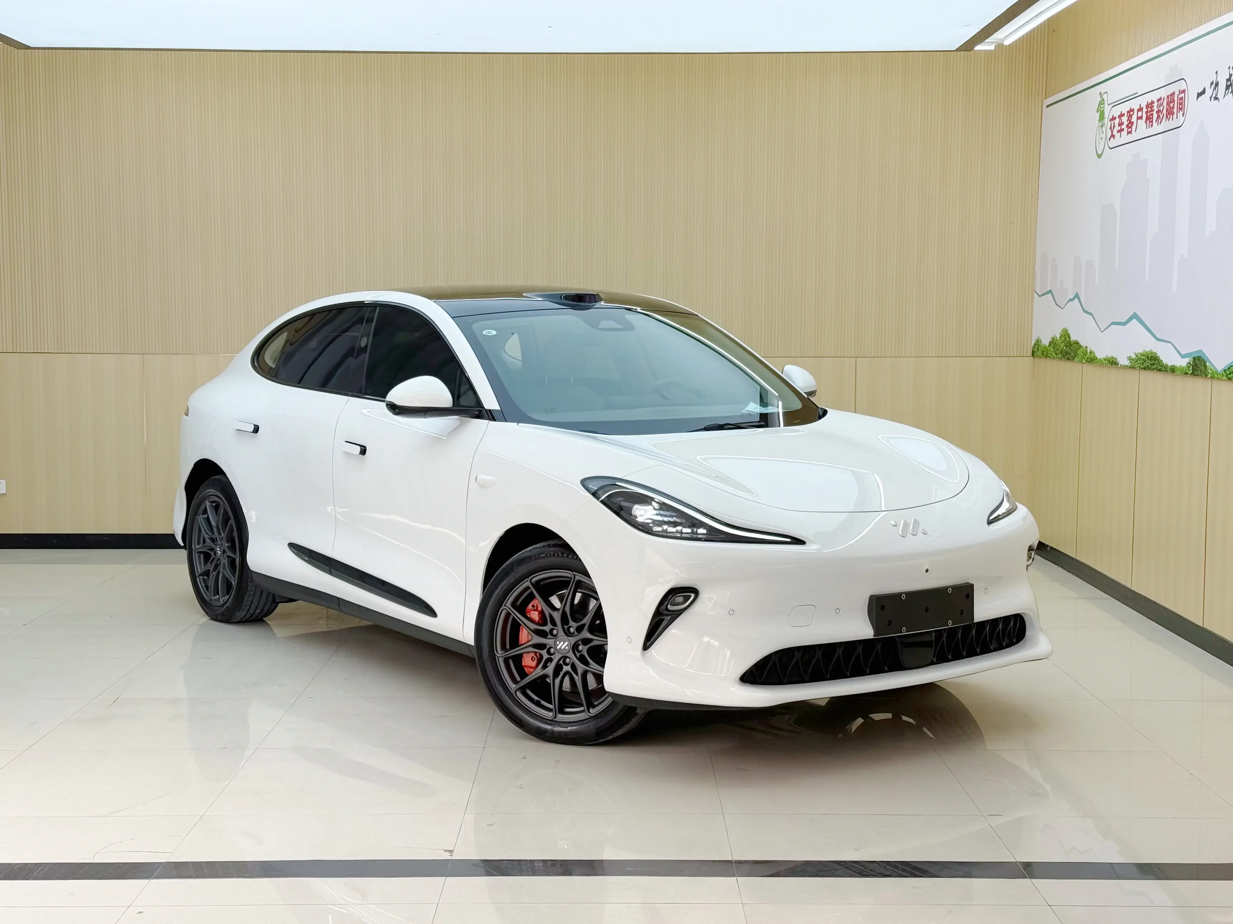 Zhiji LS6