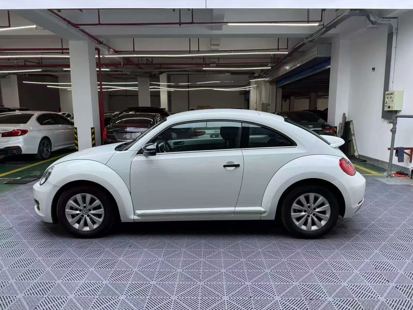 Volkswagen Beetle