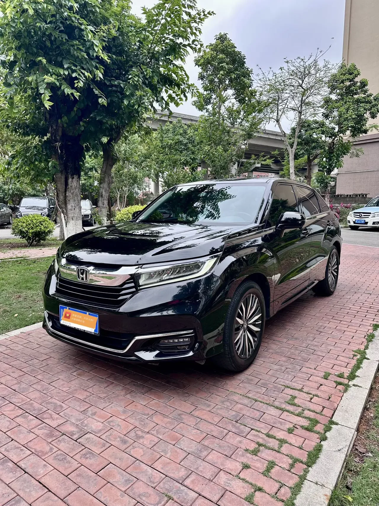 Honda Avancier
