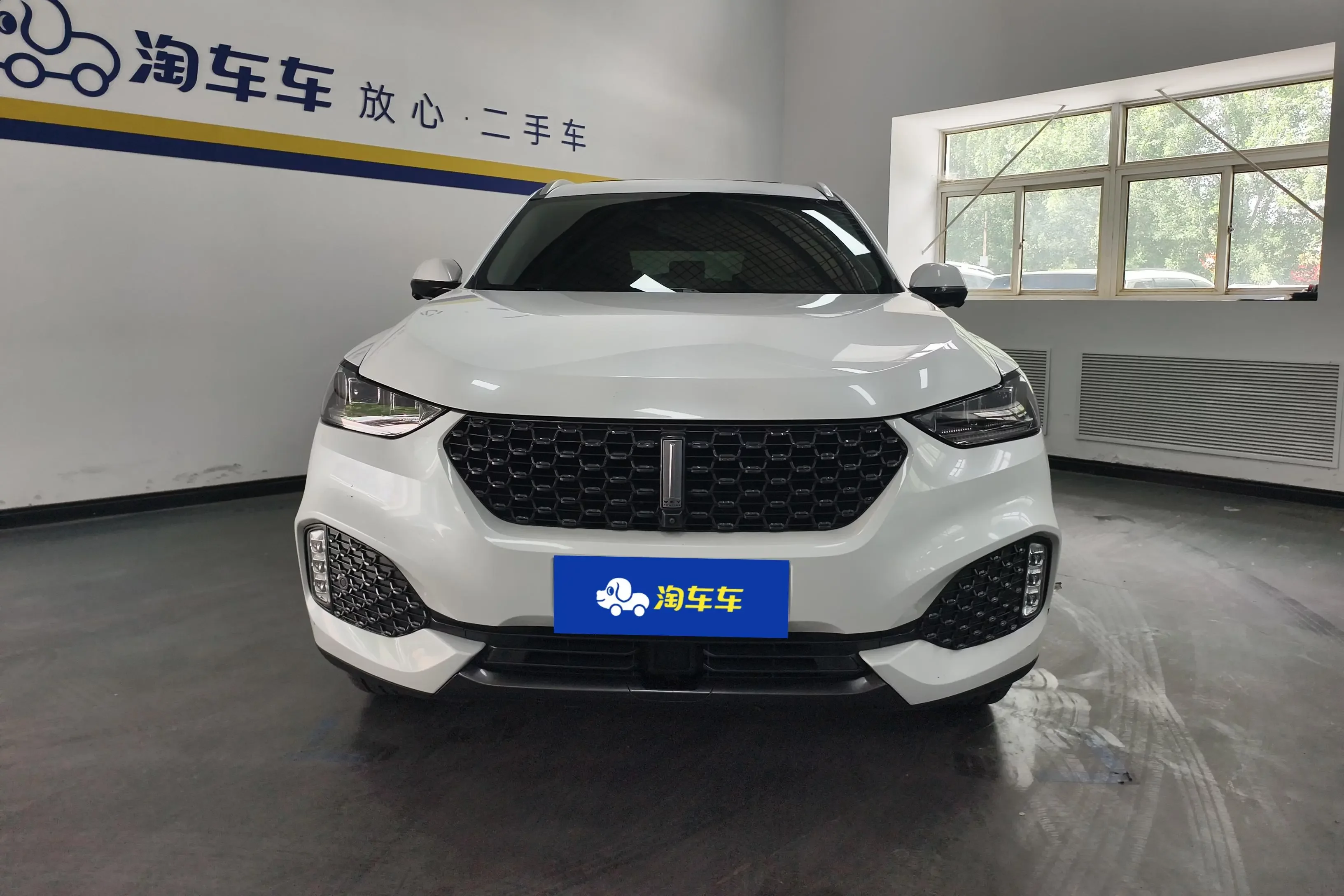 Wey Wei brand VV6