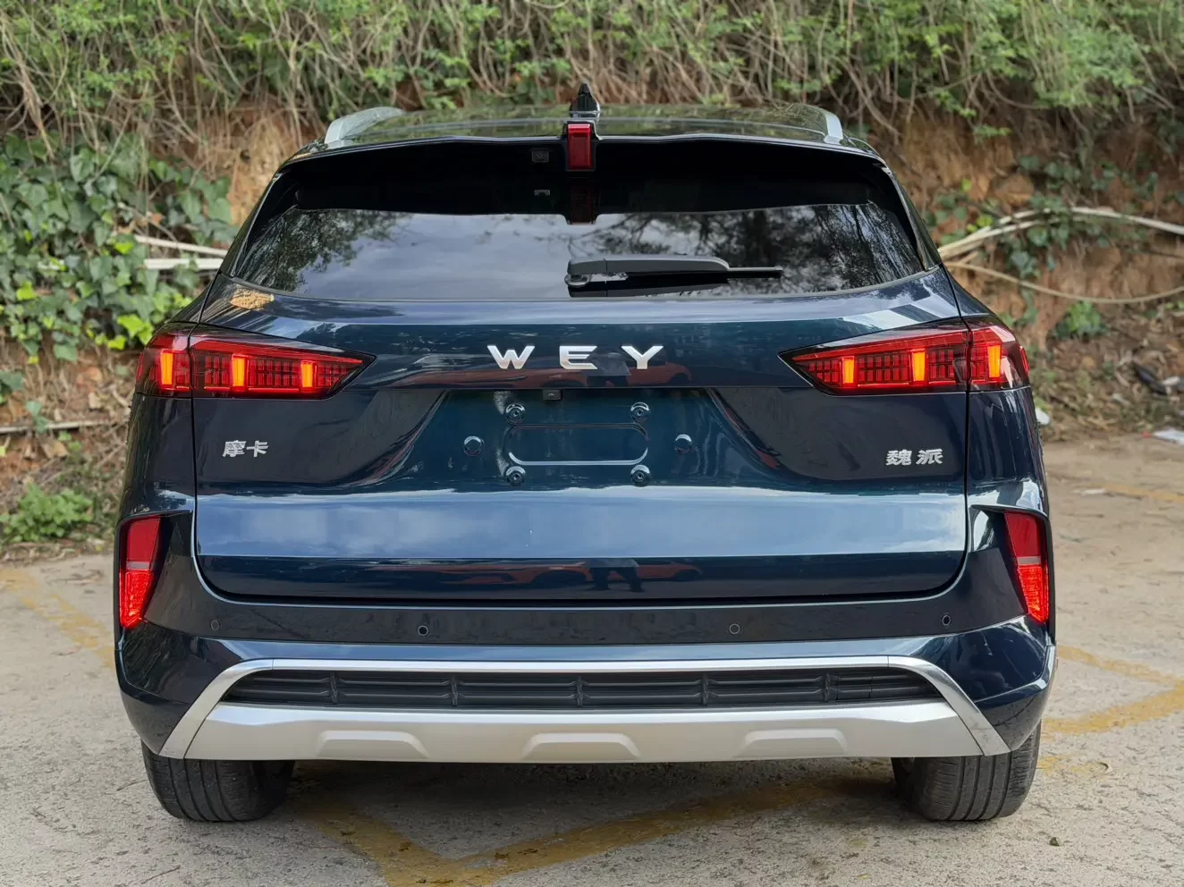 Wey Mocha