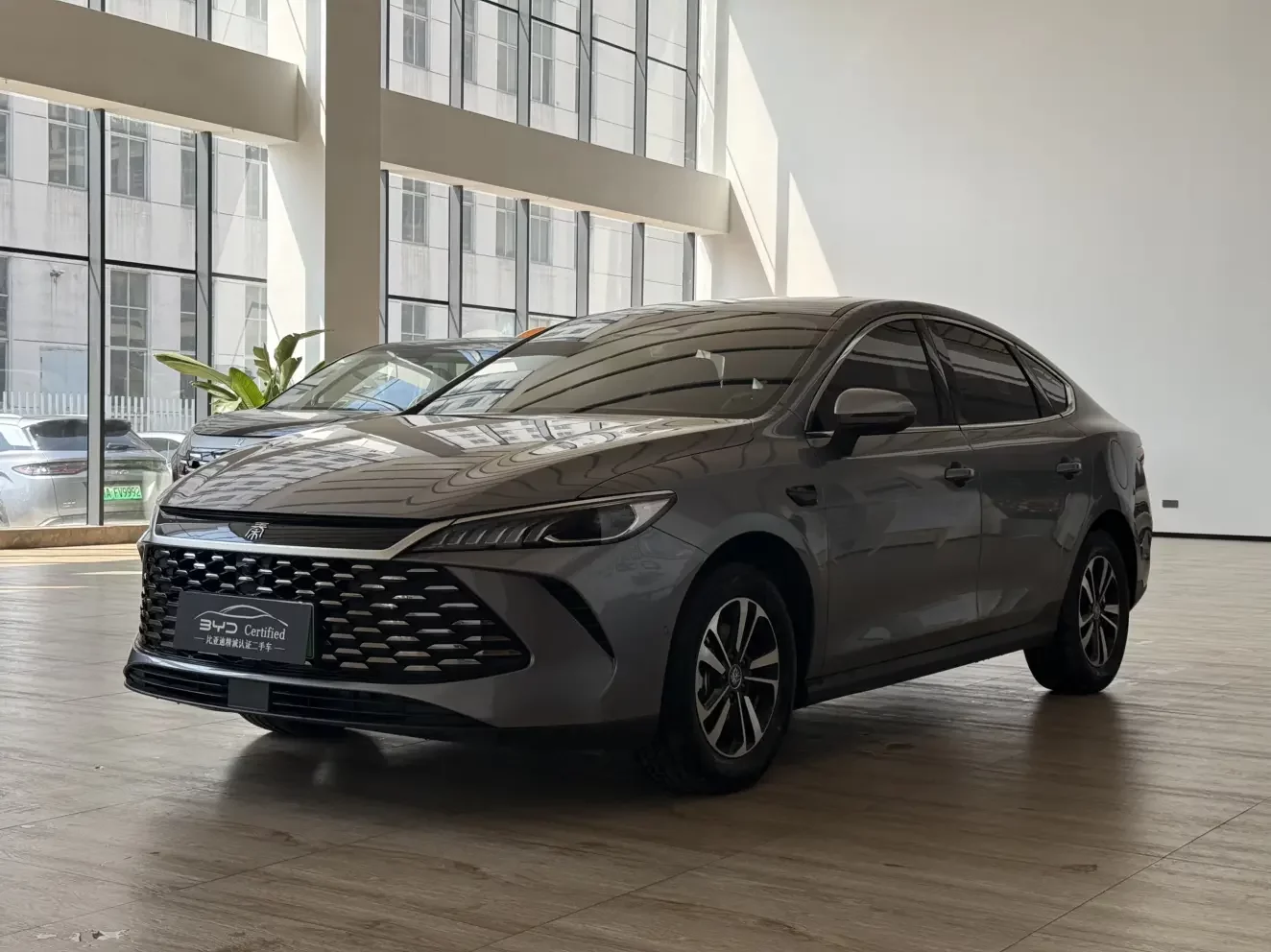 BYD Qin PLUS DM