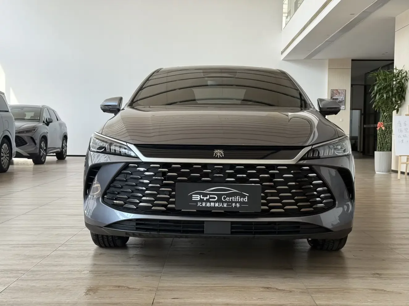 BYD Qin PLUS DM