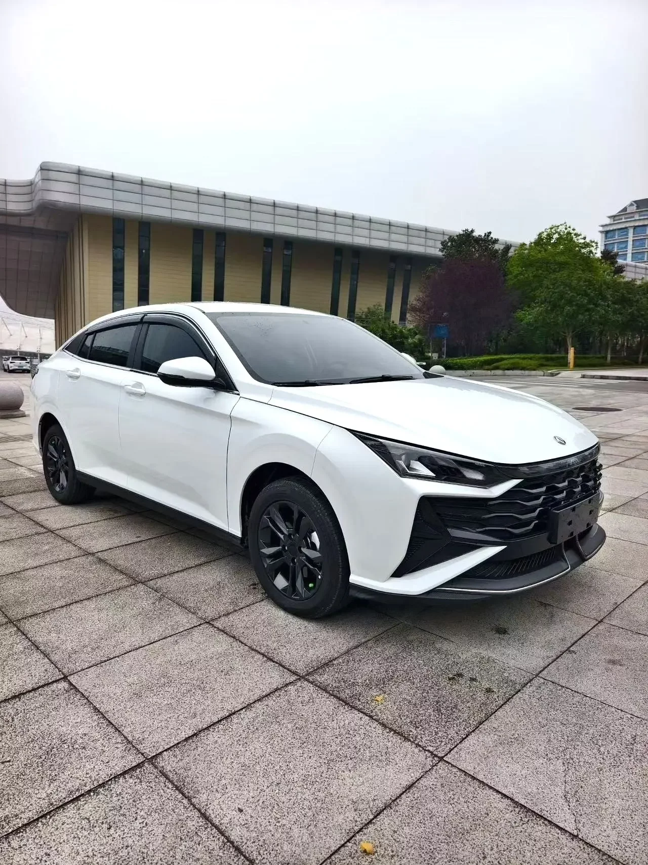 Dongfeng Yixuan