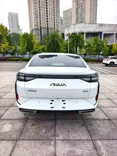 Dongfeng Yixuan