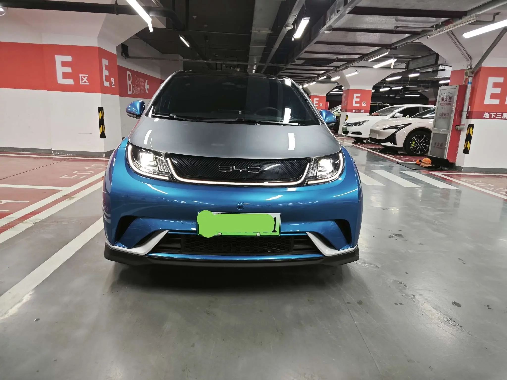 BYD dolphin