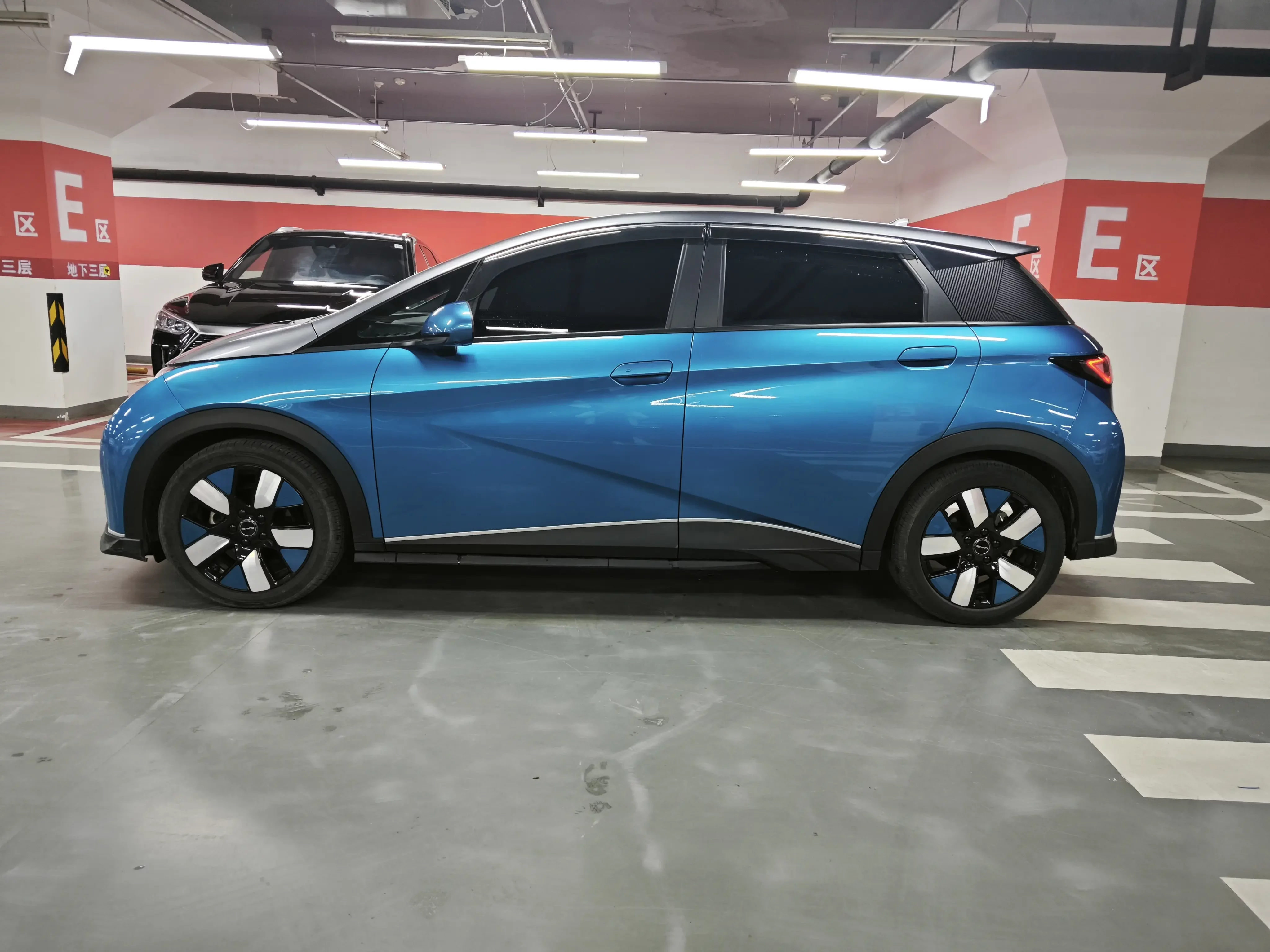 BYD dolphin