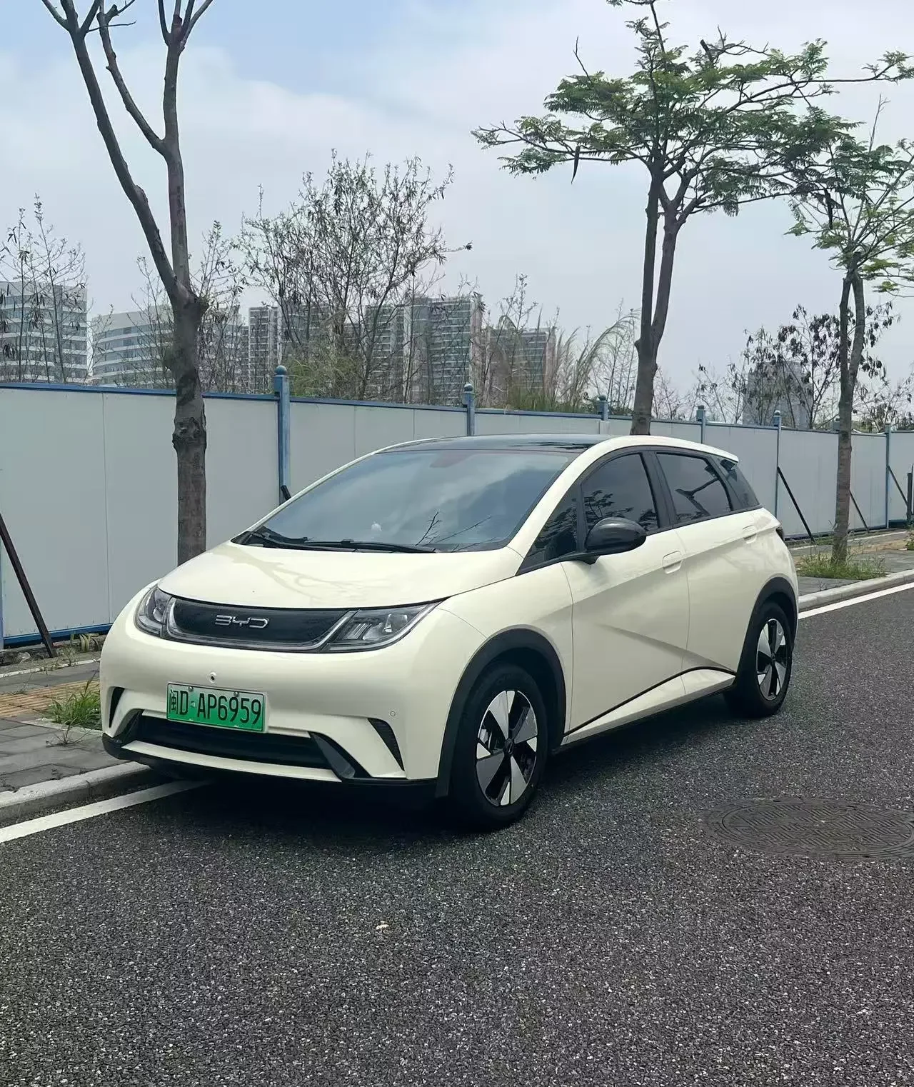 BYD dolphin