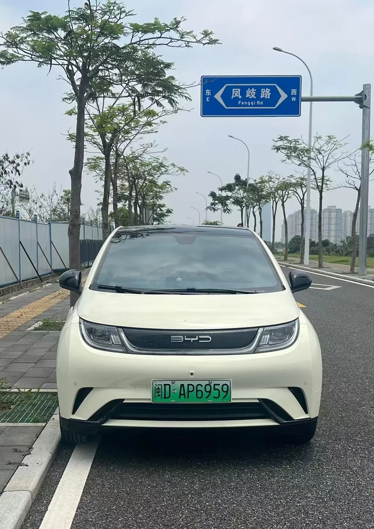 BYD dolphin