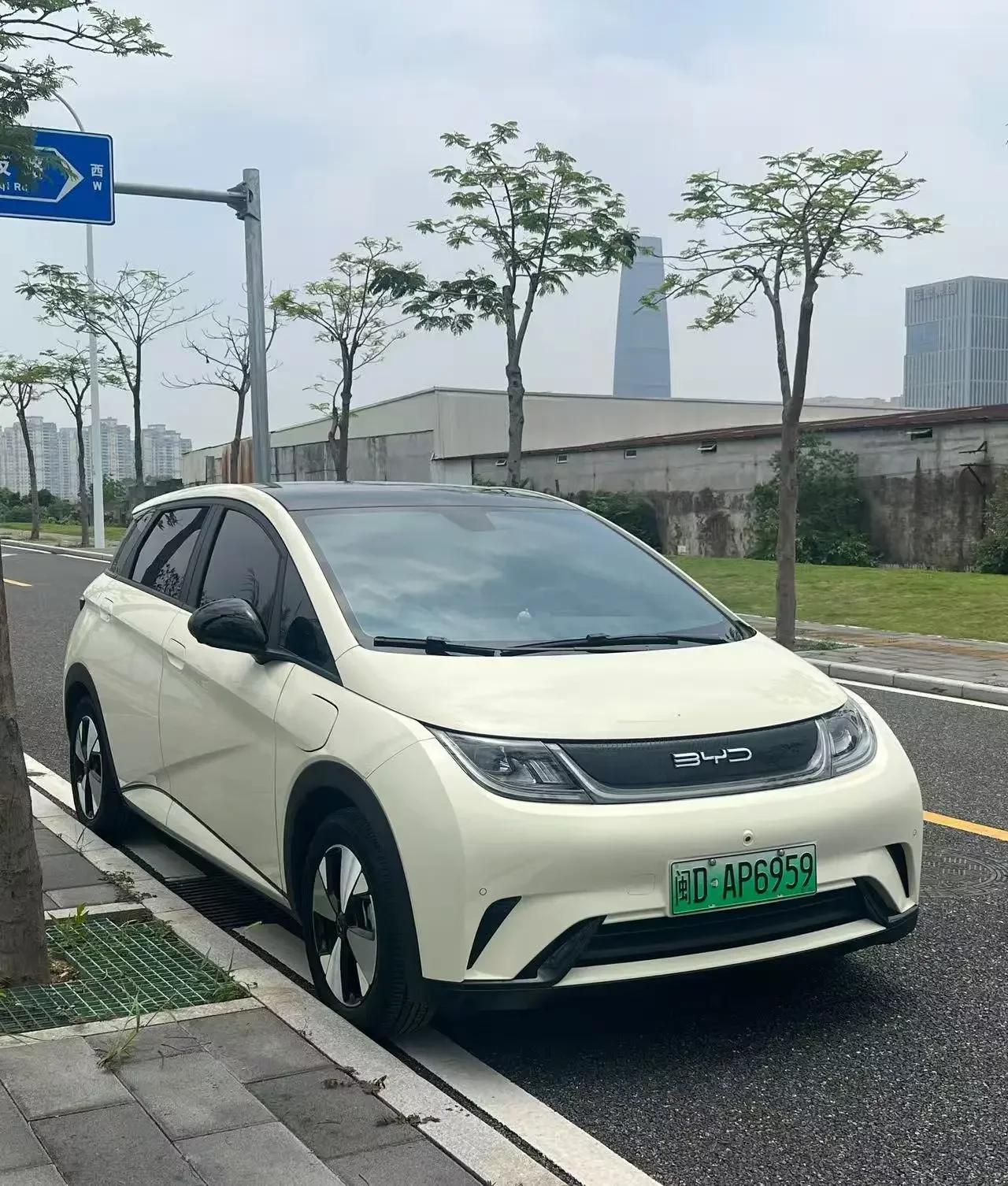 BYD dolphin