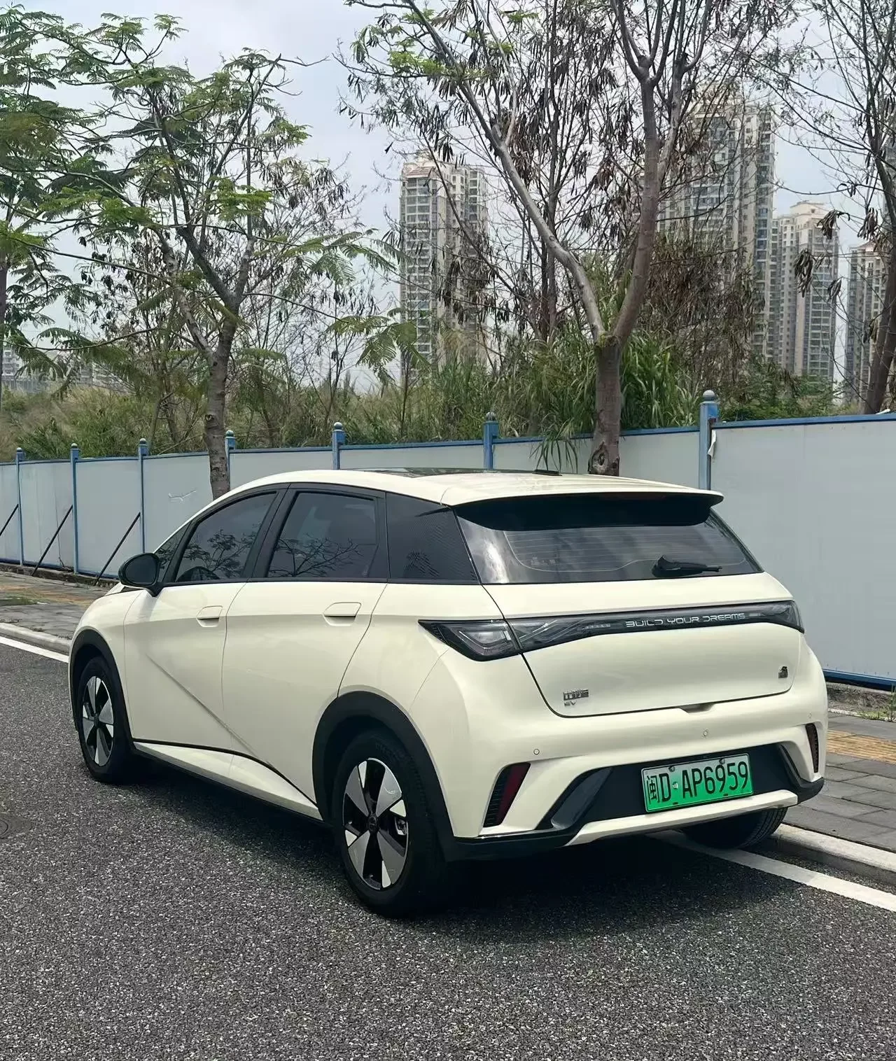 BYD dolphin